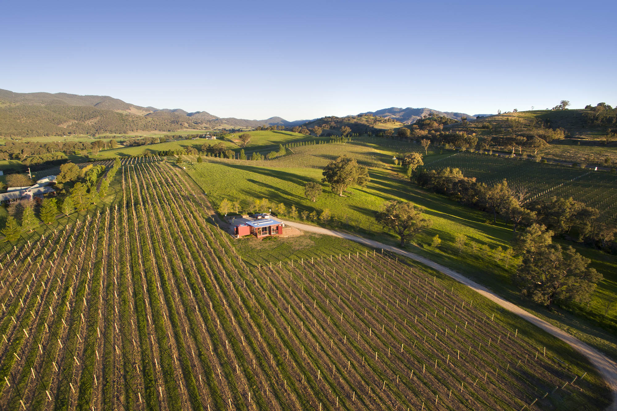 drone photo of first ridge winery mudgee